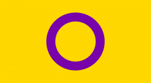 Bandera intersex