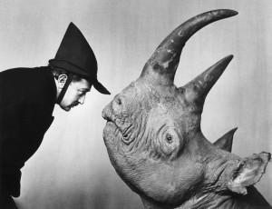 salvador-dali-rhino